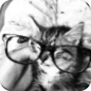 🐱 whatsapp sticker