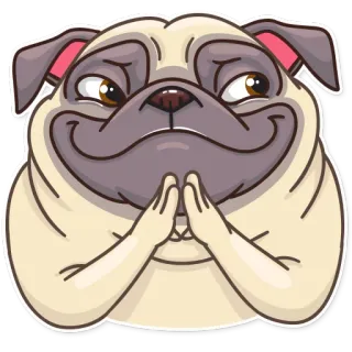 😈 pug, cão, animal, fofo, desenho animado, implorando, pedindo telegram sticker