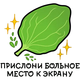 ☘️ ТРЫНДЕЦ И ПОКОЙНОЕ МЕСТО В УКРАИНУ spinach, leaf, ukraine, peaceful place telegram sticker