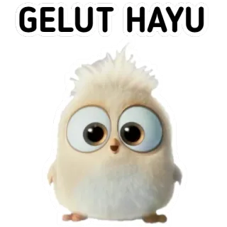 🙃 GELUT HAYU pájaro, pollito, lindo, animal, cría de ave telegram sticker