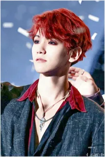 🕸 Baekhyun kpop, idol, singer, baekhyun, red hair, portrait, korean telegram sticker
