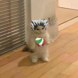 Anime Cat! by @sollevatricedipolemiche telegram stickers