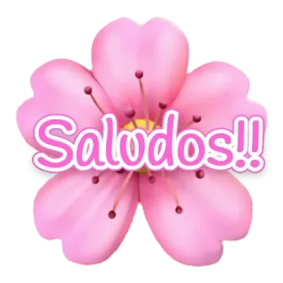 😉 Saludos!! Blume, Rosa, Gruß, Kirschblüte telegram sticker