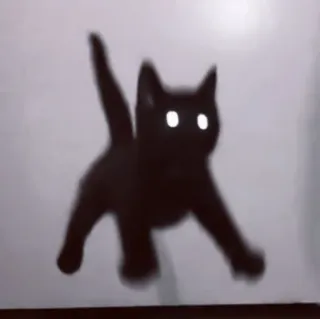 🥠 Katze, schwarze Katze, Tier, Augen, Haustier, Kätzchen telegram sticker