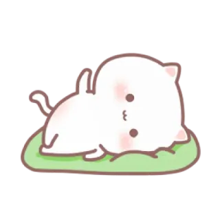💗 gato, lindo, animal, pegatina, dibujo animado, gatito, kawaii telegram sticker