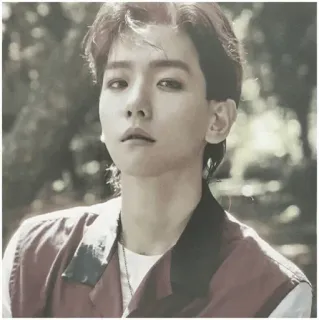 🍁 kpop, idol, koreański, piosenkarz, portret, mężczyzna telegram sticker