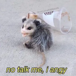 пушистые мемы @catsandsadness whatsapp stickers