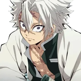 😒 Sanemi Shinazugawa Demon Slayer Anime, vernarbt, Demon Slayer, Wind Hashira, Sanemi telegram sticker