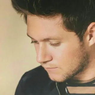 🍕 Niall Horan Найл Хоран, певец, знаменитость, портрет, One Direction telegram sticker
