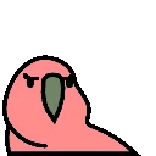 🍒 птица, попугай, злой, мультик, милый, животное, смешной whatsapp sticker
