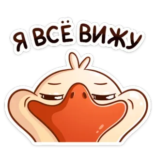 👀 Я ВСЁ ВИЖУ duck, peeking, watching, eyes, cartoon, funny, suspicious, observing whatsapp sticker