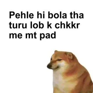 🌟 Cheems Doge Pehle hi bola tha turu lob k chkkr me mt pad telegram sticker