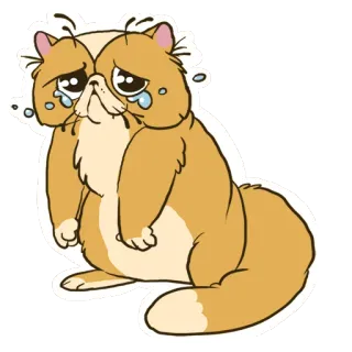 😂 gatto, triste, piangendo, cartone animato, animale, adesivo telegram sticker