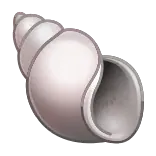 🐚