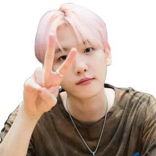 ✌️ kpop, idole, signe de paix, asiatique, célébrité, chanteur telegram sticker