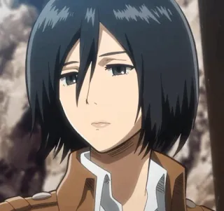 🌿 Mikasa Ackerman Attack on Titan anime, character, mikasa, attack on titan, manga telegram sticker