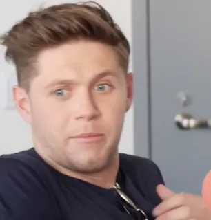 🎸 Niall Horan celebridade, cantor, niall horan, one direction, retrato, música telegram sticker