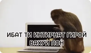 Больше стиков тут: @stikery4 telegram stickers