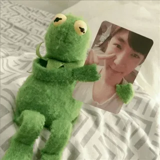 🐸 Kermit Kermit o sapo, Muppets, Fantoche, Brinquedo, Retrato whatsapp sticker