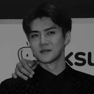 🖇 Sehun kpop, piosenkarz, exo, idol, przystojny, męski telegram sticker