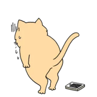 😣 cat, animal, cartoon, funny, illustration, sticker telegram sticker