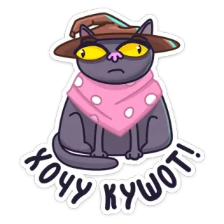 🍽 ХОЧУ КУШОТІ! gato, mago, russo, fofo, adesivo, chapéu whatsapp sticker