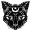 🐈‍⬛