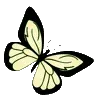 🦋