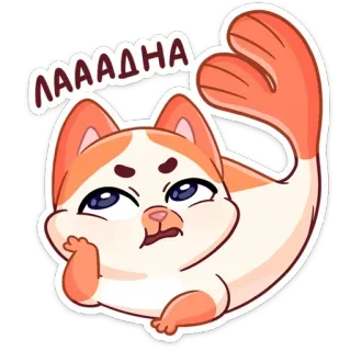 😡 ЛАААДНА Katze, Garnele, lustig, süß, Tier, Cartoon telegram sticker