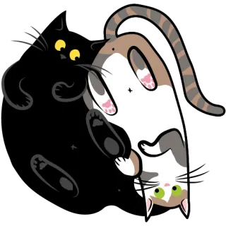 💑 Katze, Haustier, Kätzchen, Tier, süß telegram sticker