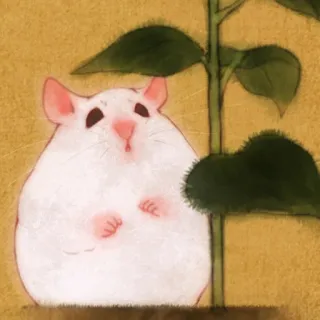 🐹 hamster, cute, animal, pet, white, plant, rodent telegram sticker