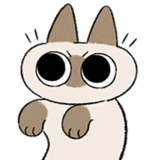😺 gato, animal, fofo, desenho animado, bravo telegram sticker