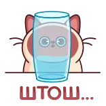 😟 WTOL... gato, vidro, água, fofo, animal, adesivo whatsapp sticker