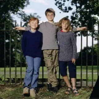 😍 Harry Potter harry potter, hermione granger, ron weasley, mundo mágico, amigos, atores mirins telegram sticker