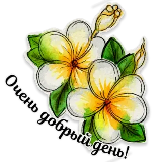 🏙 Очень добрый день! flowers, plumeria, greeting, russian, добрый день, watercolor telegram sticker
