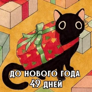 🎄 ДО НОВОГО ГОДА 49 ДНЕЙ chat, nouvel an, fête, cadeaux, russe, chat noir, compte à rebours whatsapp sticker