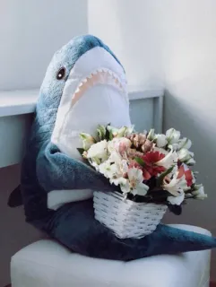 💐 shark, stuffed animal, flowers, basket, plush, bouquet, cute whatsapp sticker