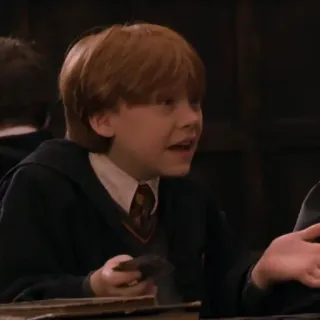 🦁 Ron Weasley Harry Potter ハリーポッター, ロン・ウィーズリー, 魔法使い, ホグワーツ telegram sticker
