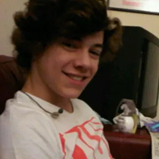 🌸 Harry Styles célébrité, chanteur, portrait, sourire, harry styles telegram sticker
