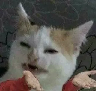 ‼️ Katze, Meme, lustig, verwirrt, Tier telegram sticker