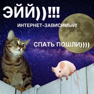 🌑 ЭЙ)))!!!
ИНТЕРНЕТ-ЗАВИСИМЫЙ!
СПАТЬ ПОШЛИ))) cat, mouse, moon, internet, sleep, fence telegram sticker