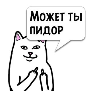 😼 Может ты ПИДОР cat, middle finger, offensive, insult, slur telegram sticker