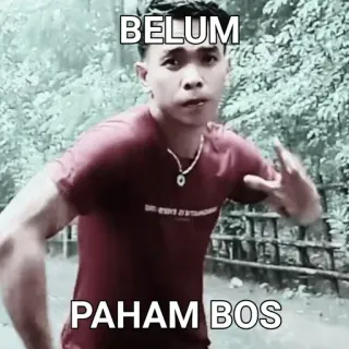 🌟 BELUM PAHAM BOS whatsapp sticker