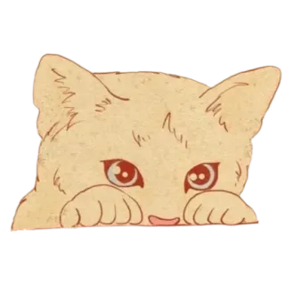 ✨ cat, animal, kitten, cute, eyes telegram sticker
