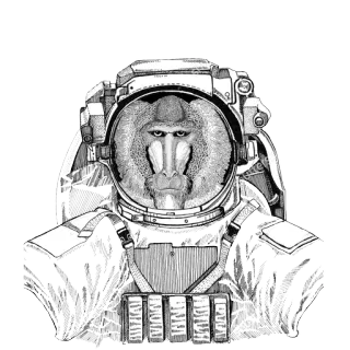 🌌 scimmia, spazio, astronauta, animale, tuta, stelle telegram sticker
