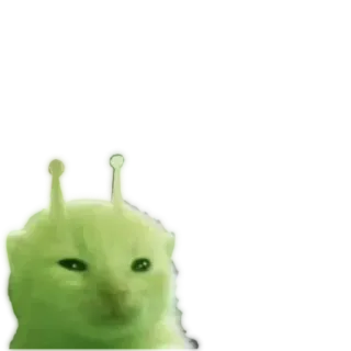 ❇️ kot, kosmita, mem, śmieszne, naklejka telegram sticker