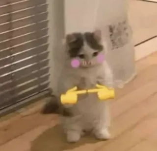 👉 Katze, schüchtern, Emoji, Finger, niedlich telegram sticker