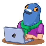 👨💻
