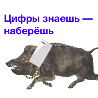 👆 Цифры знаешь - наберёшь jabalí, teléfono, animal, humor, llamada telegram sticker