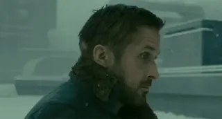 ❤️ Ryan Gosling Ryan Gosling, célébrité, acteur, film, portrait, homme whatsapp sticker